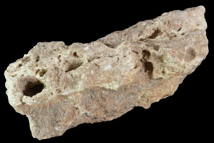 Fulgurite - Petrified Lightning #90353